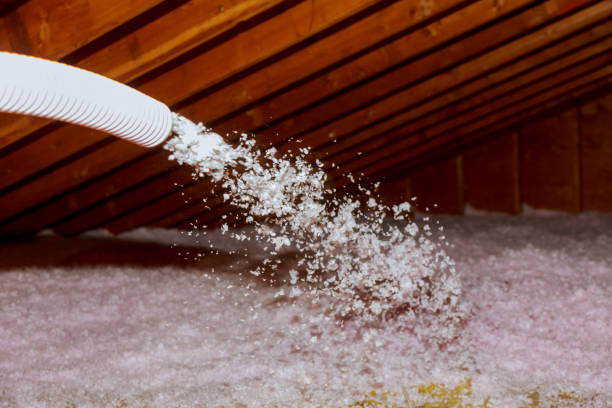 Best Geographic-Specific Insulation Services in Santa Rosa, NM
