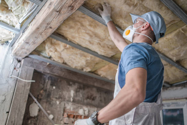 Best DIY Insulation Kits and Guidance in Santa Rosa, NM