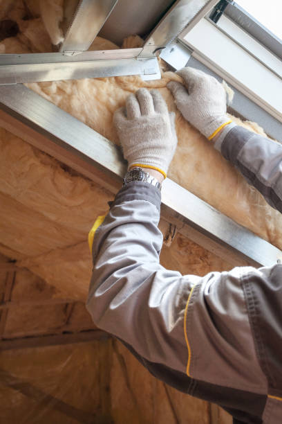 Best Commercial Insulation in Santa Rosa, NM